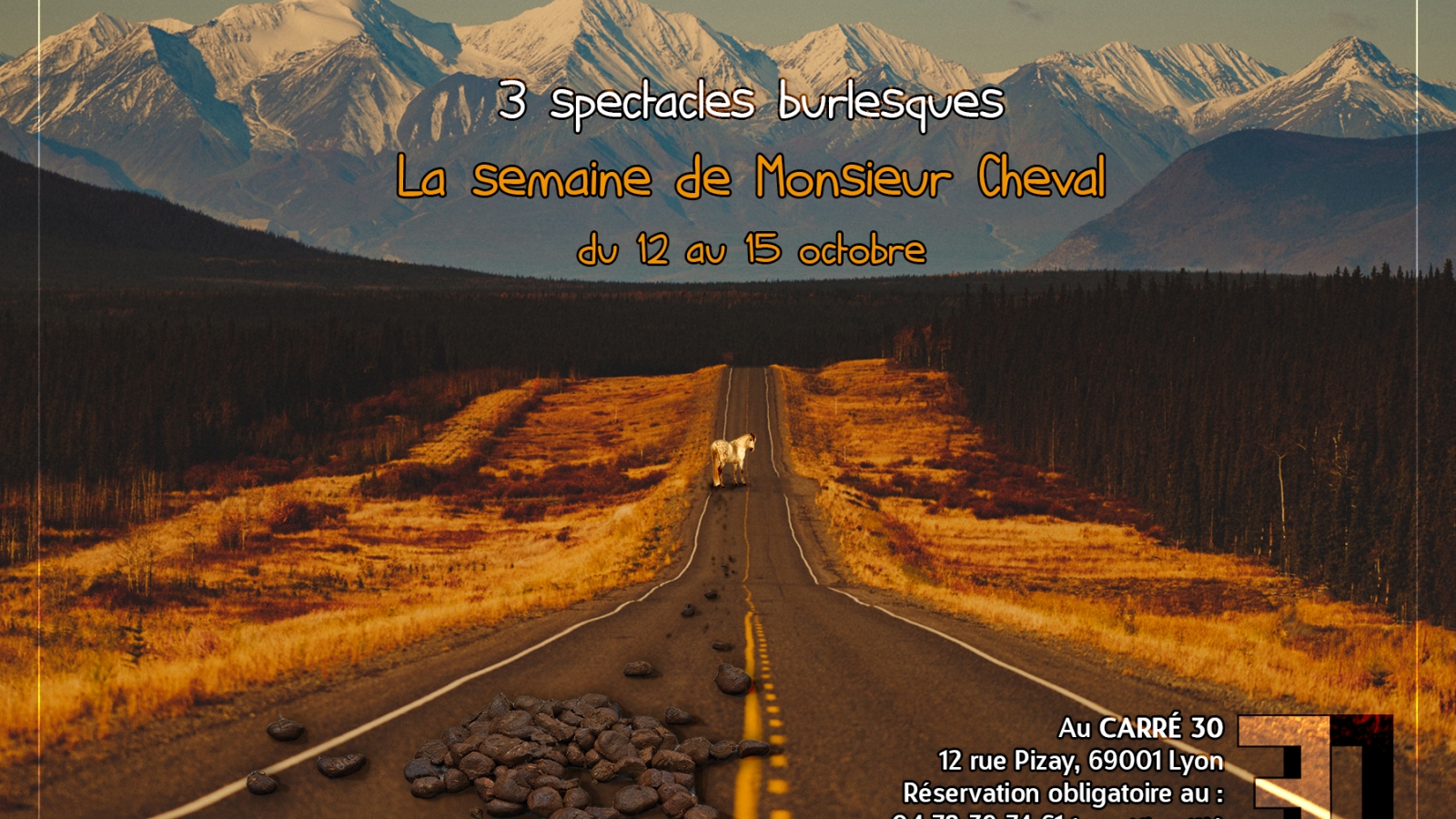 Cartes postales Cheval carré 30 recto